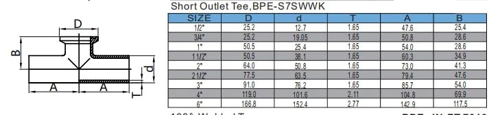 Short Outlet Tee,BPE-S7SWWK